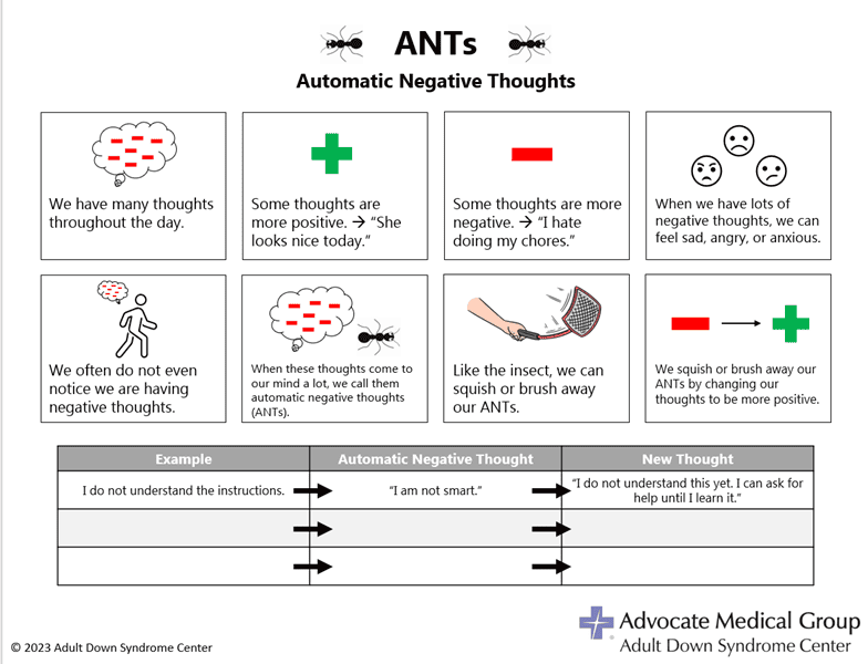 ANTs practice, opens in new window