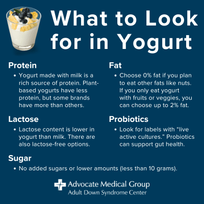 What to look for in a yogurt - protein, lactose, sugar, fat, probiotics