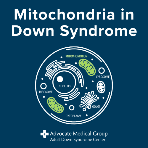 Mitochondria in Down syndrome