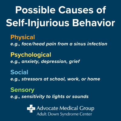 Possible causes of self-injurious behavior. Physical (e.g., face/head pain from a sinus infection), psychological (e.g., anxiety, depression, grief). Social (e.g., stressors at school, work, or home). Sensory (e.g., sensitivity to lights or sounds).