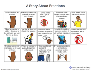 A Story About Erections
