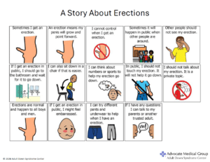 A Story About Erections