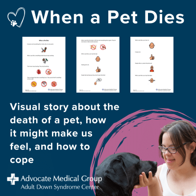 When a pet dies. Visual story about the death of a pet, how it might make us feel, and how to cope.