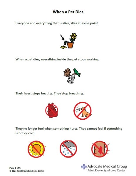 when a pet dies