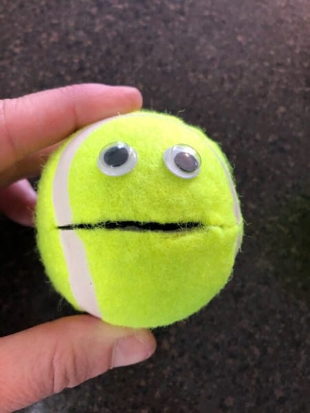Feed the Mouth Tennis Ball, Hands On As We Grow
